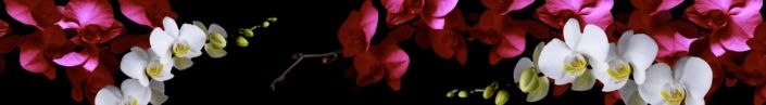 skinali-6232
