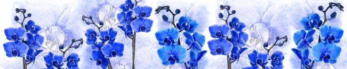 skinali-6589